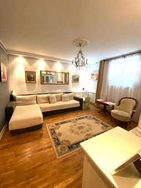 Apartman u srcu Beograda